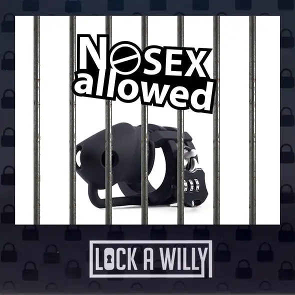 Lock-a-Willy Cage à Pénis – Image 3